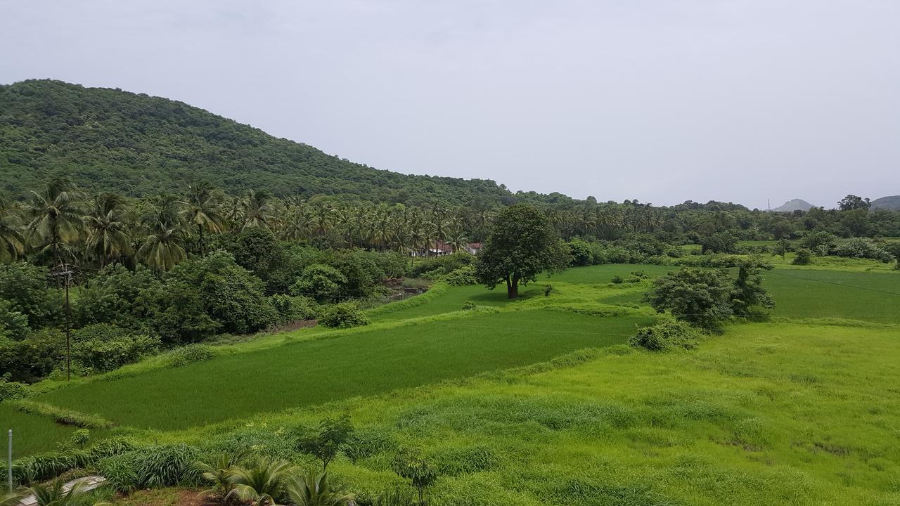 Anand Agro Tourism Kashid Hotel Alībāg Exterior foto